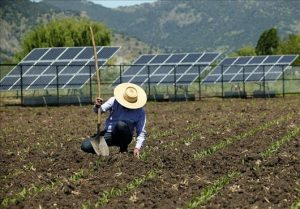 produtores-rurais-e-energia-solar-ponto-solar